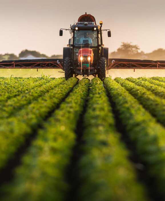 agriculture-578x704 agriculture-578x704